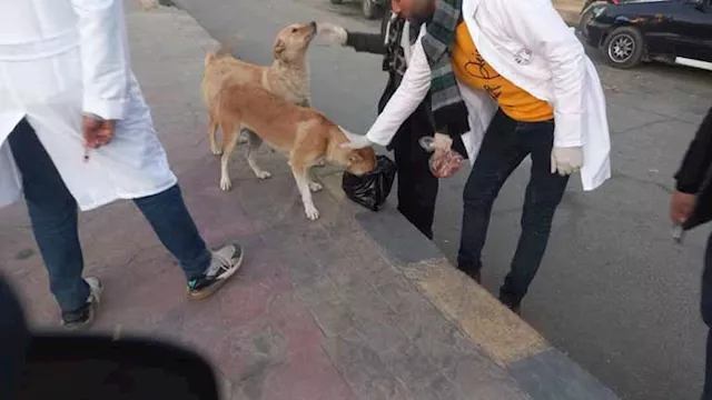 تحصين الكلاب