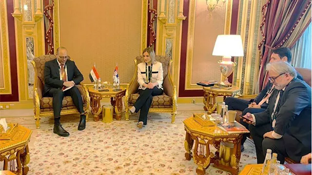 محمد جبران ووزير العمل الصربية