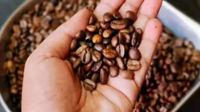 تناول القهوة والشاي