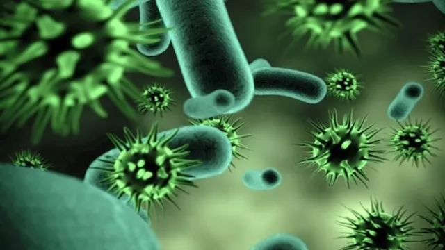 تايوان تسجل أول حالة وفاة بفيروس هانتا