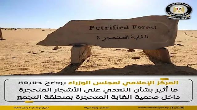 أشجار محمية الغابة المتحجرة