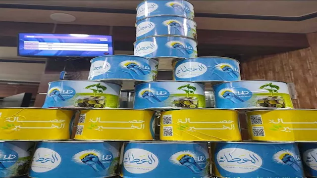 حصالة الخير في تلا المنوفية