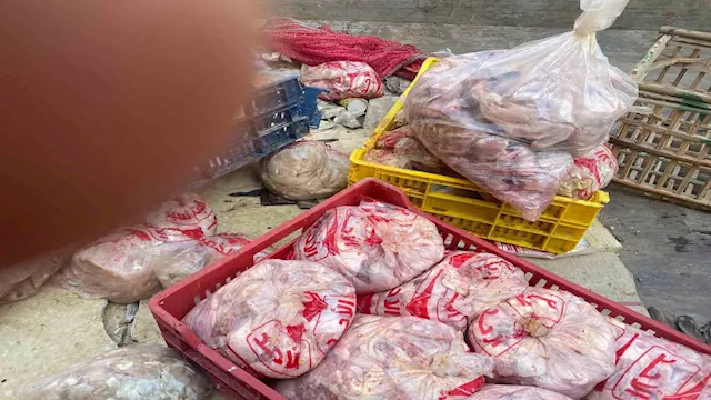 ضبط طن دواجن وبانيه فاسد في حملة تموينية بشبين الق