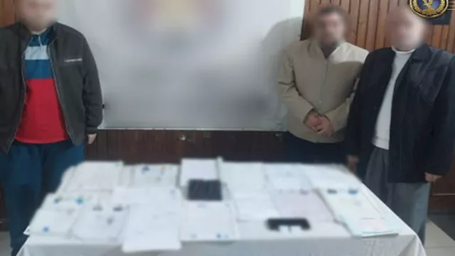 عناصر التشكيل العصابي