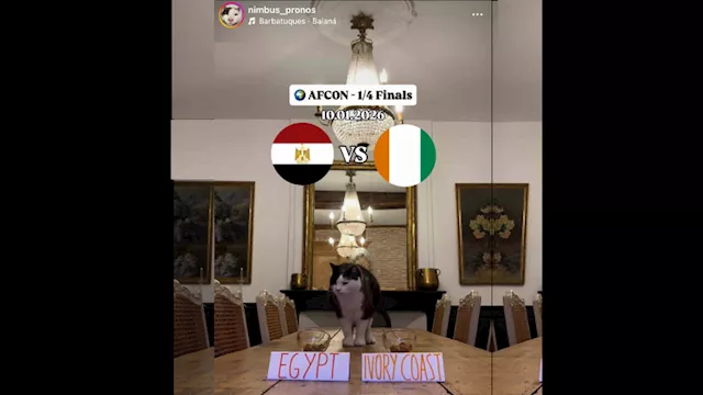 القط العراف يصدم منتخب مصر قبل مواجهته المرتقبة أم