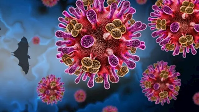 فيروس نيباه