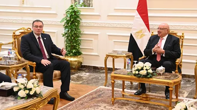 رئيس مجلس النواب يستقبل رئيس الجهاز المركزي للتنظي