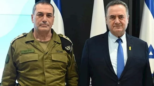 كاتس وزامير