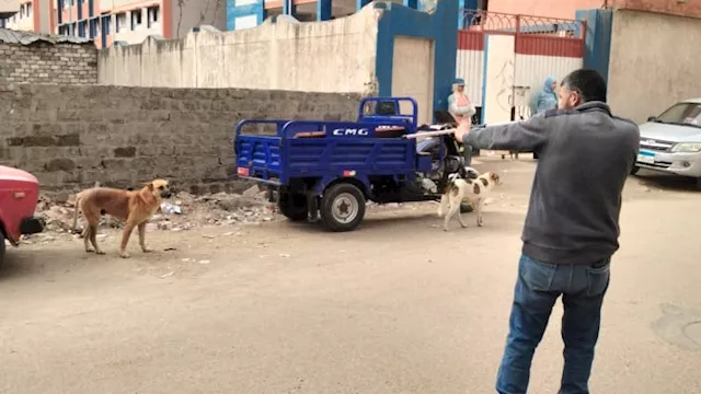 مبادرة ''مصر خالية من السعار'' بالبحيرة