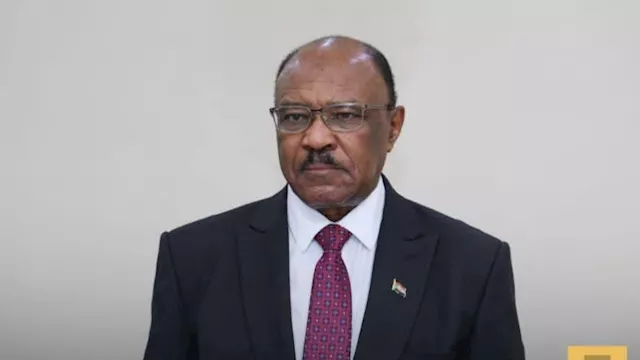 وزير الخارجية السوداني محيي الدين سالم