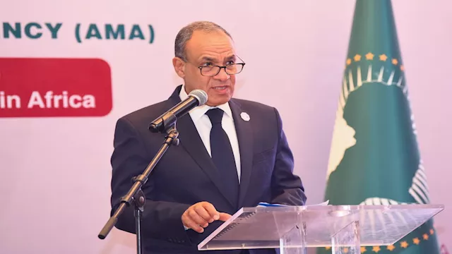 الدكتور بدر عبد العاطي وزير الخارجية 