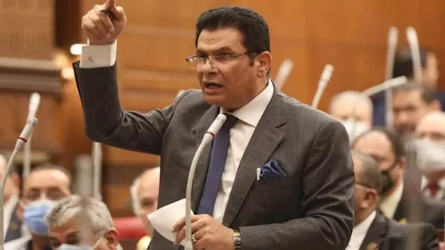 الدكتور محمد الصالحي، عضو مجلس النواب