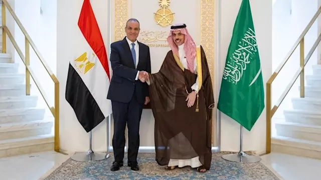 عبدالعاطي ونظيره السعودي يناقشان تطورات الأوضاع في