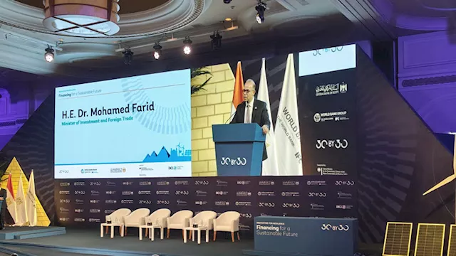 محمد فريد وزير الاستثمار والتجارة الخارجية 