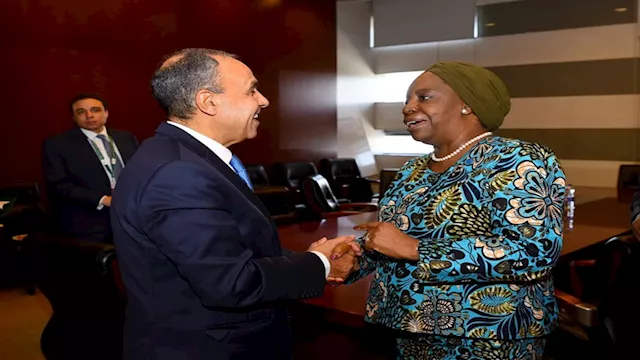 وزير الخارجية يبحث مع الأمين العام للكوميسا سبل تع