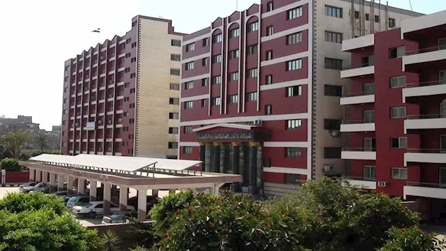 جنوب الدلتا للكهرباء