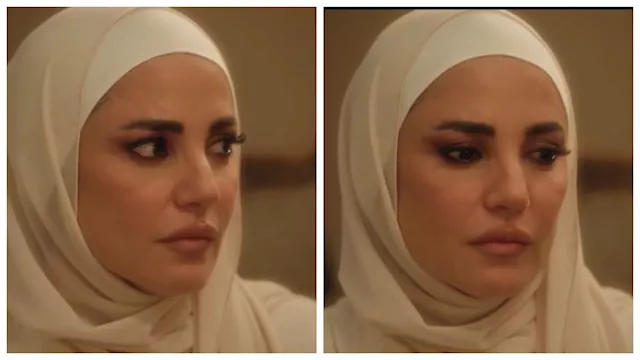 الفنانة درة في مسلسل إثبات نسب