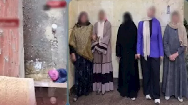 مشاجرة سيدات في طنطا