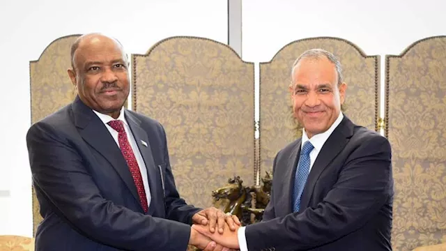 الدكتور بدر عبد العاطي ومحي الدين سالم وزير الخارج