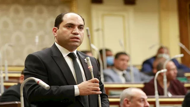 النائب الدكتور عمرو درويش