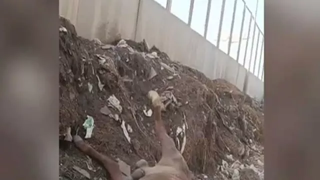 فيديو القمامة بالأهرامات