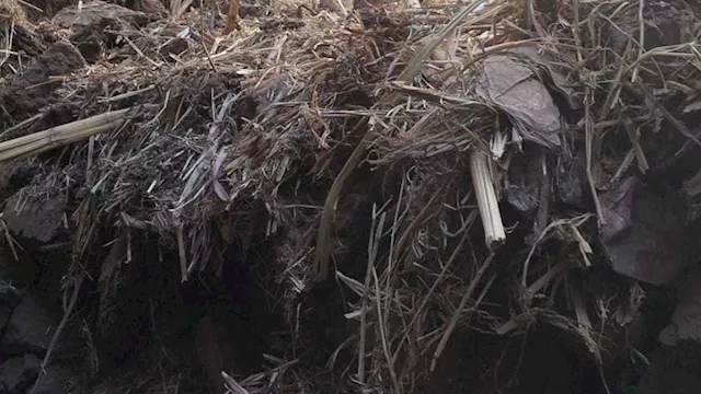 جانب من الحادث