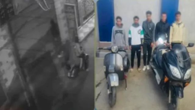 مرتكبو الواقعة