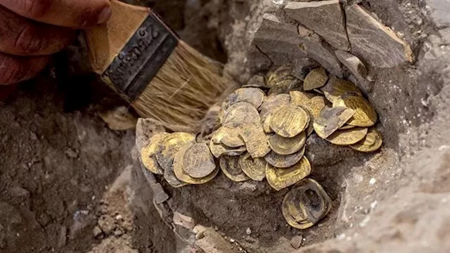 الأسماك تقود إلى الذهب