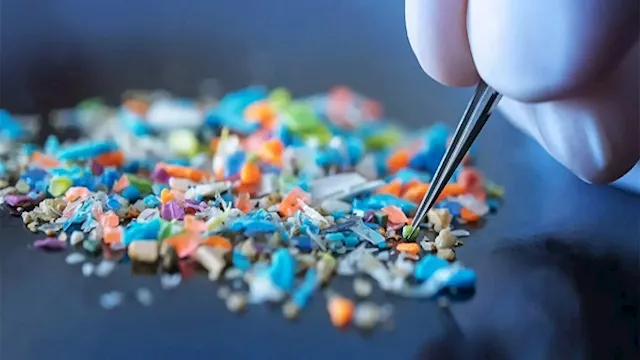 الجزيئات البلاستيكية