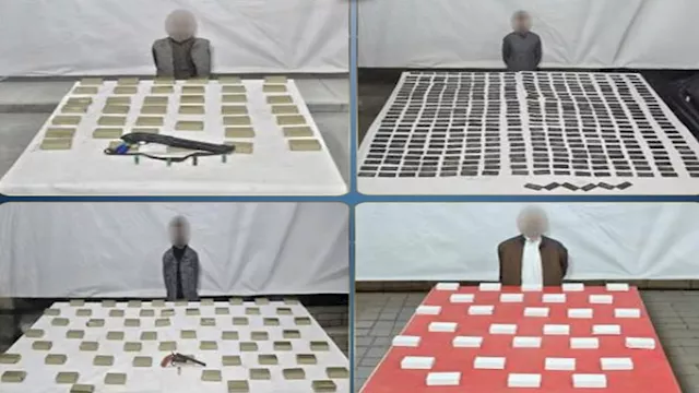 عناصر إجرامية