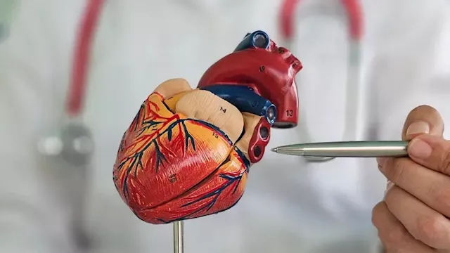 جلطات القلب