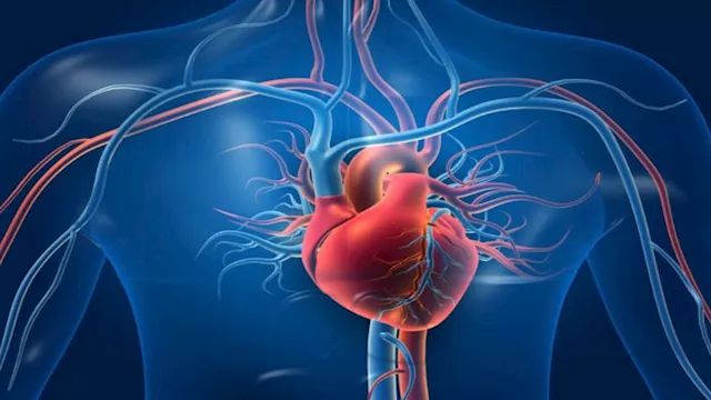 صحة الشرايين