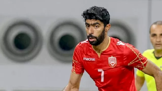 أحمد ميرزا موسى