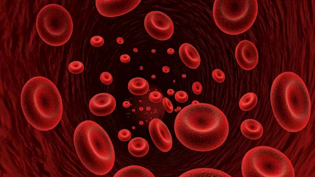 مستويات الحديد في الجسم