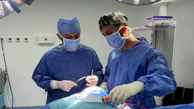 جرى خلال الجراحة تفريغ النزيف بنجاح