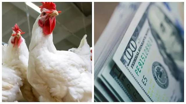 نشرة رمضان الاقتصادية اليوم