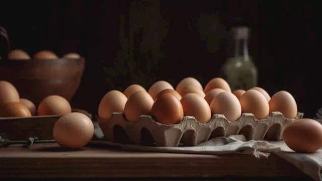 أسعار البيض