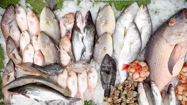 المأكولات البحرية