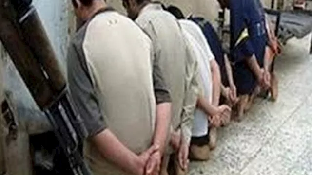 تشكيل عصابي   أرشيفية