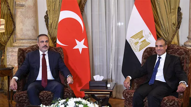 وزيرا خارجية مصر وتركيا   أرشيفية