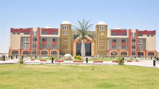 جامعة الوادي الجديد