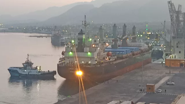 تداول البضائع في ميناء سفاجا ليلا 