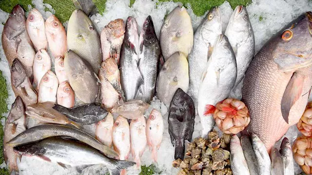 أسعار السمك