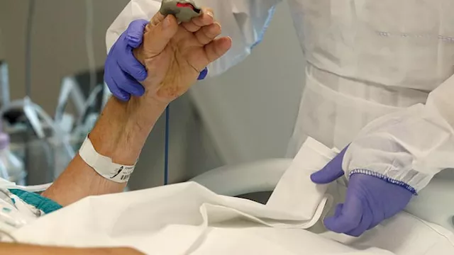 حالة أوروبية مصابة بأنفلونزا الطيور