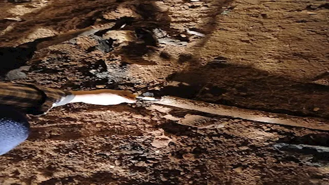 ماس كهربائي