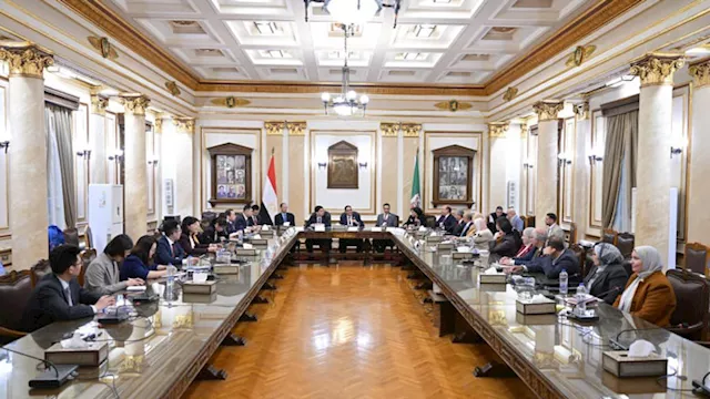  الاجتماعات المشتركة بين جامعتي القاهرة وبكين