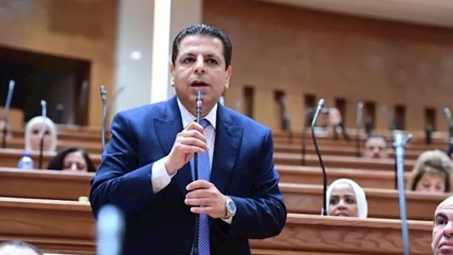 النائب محمود سامي الإمام