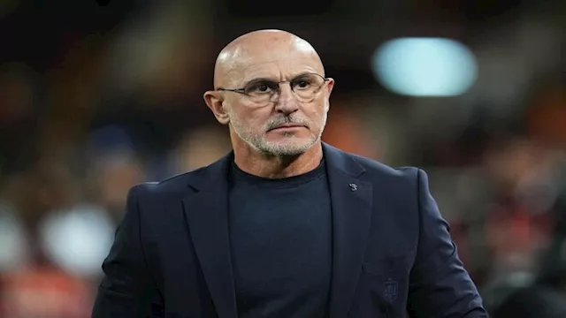 لويس دي لا فوينتي المدير الفني لمنتخب إسبانيا