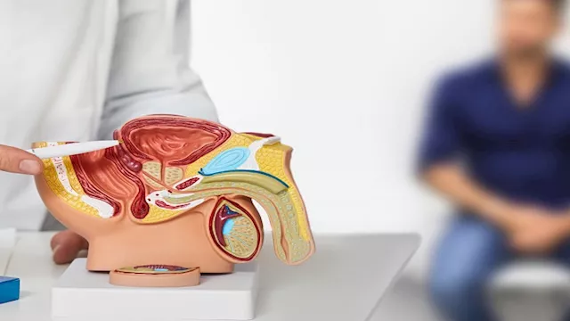 صحة البروستاتا