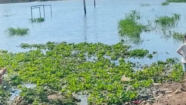 مصرع عامل زراعي غرقاً في بركة ري